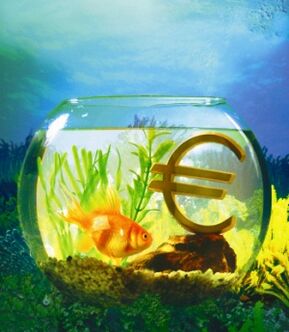 Aquarium with goldfish to attract money