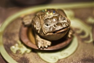 Amulet-toad on happiness and wealth